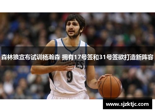 森林狼宣布试训杨瀚森 拥有17号签和31号签欲打造新阵容